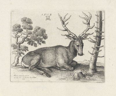 Liegender Hirsch, nach rechts von Wenceslaus Hollar