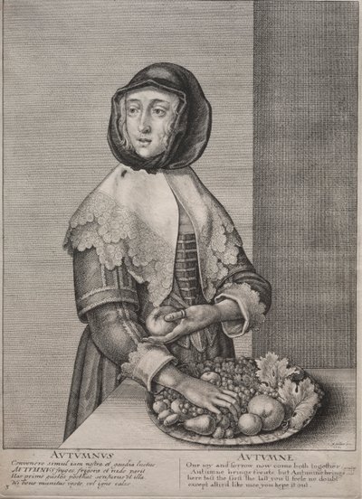 Die vier Jahreszeiten: Herbst, 1641 von Wenceslaus Hollar