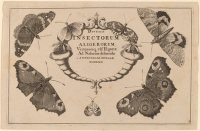 Titelseite von Wenceslaus Hollar