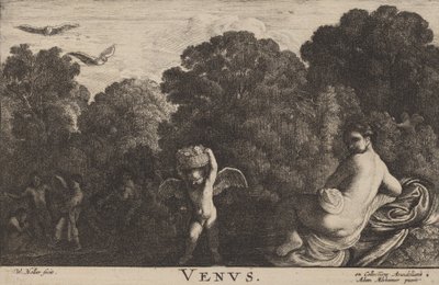 Venus von Wenceslaus Hollar
