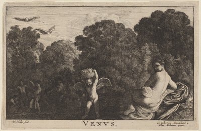 Venus von Wenceslaus Hollar