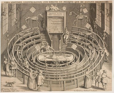 Der Saal des anatomischen Theaters in Leiden von Willem Isaaksz Swanenburgh