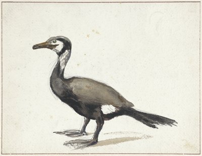 Kormoran von Willem Roelofs (I)