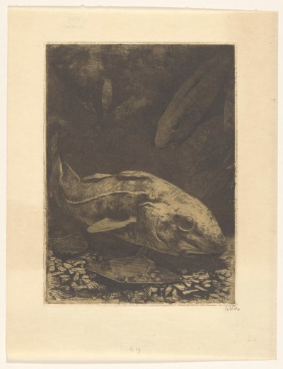 Fische und Wasserpflanzen von Willem Witsen (signed by artist)