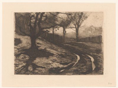 Landschaft mit Bäumen und Zaun von Willem Arnoldus Witsen