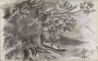Landschaft mit einem großen Baum in Rhenen von Willem Arnoldus Witsen