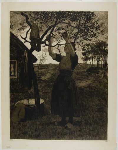 Der Apfelbaum von Willem Arnoldus Witsen
