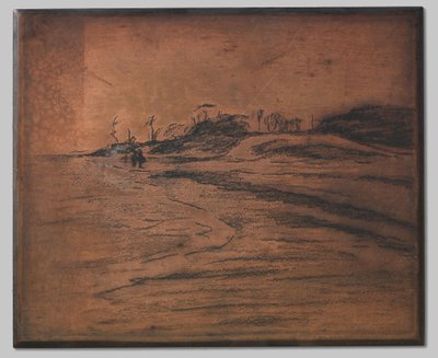 Valkeveen an der Zuiderzee von Willem Arnoldus Witsen