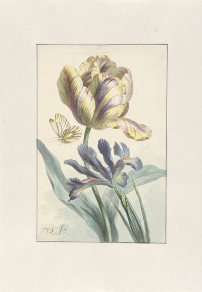 Tulpe und Iris von Willem van Leen