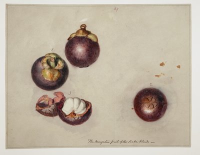 WD 961 f.27 von William Alexander