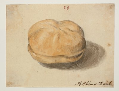 WD 961 f.29 von William Alexander