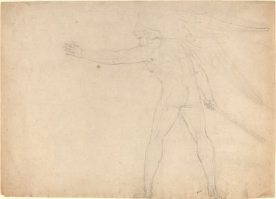 Ein kämpfender Engel [recto] von William Blake