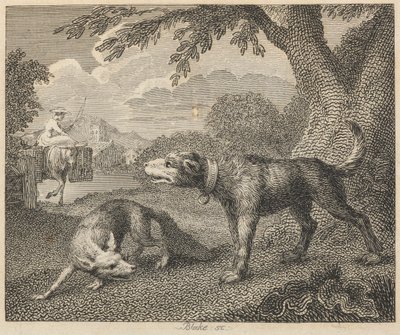 Der Hund und der Fuchs von William Blake