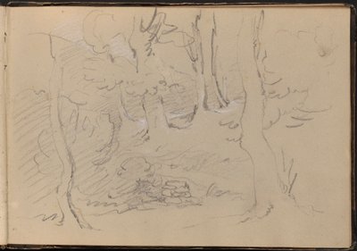 Skizze einer Baumgruppe von William Brockedon