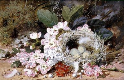 Stillleben mit Vogelnest und Primeln von William Cruikshank