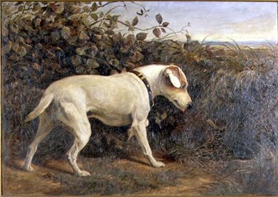 Terrier in einer Landschaft von William Elsob Marshall