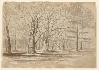 College Woods von William Fowler Hopson