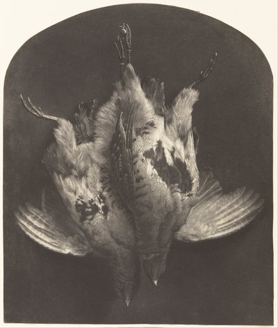 Ein Paar Moorhühner von William Frederick Lake Price