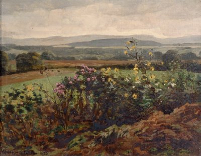 Wildblumen von William Gunning King