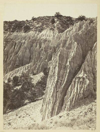 Regenskulptur, Salt Creek Canyon, Utah von William H. Bell