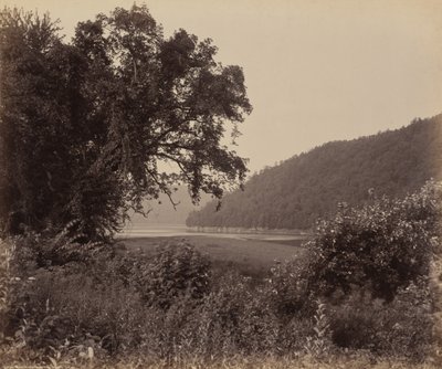 Der Susquehanna bei Wyalusing von William H. Rau