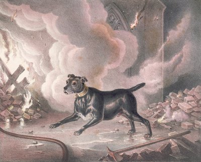 Der Londoner Feuerwehrhund von William Heath
