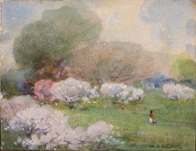 Kirschblüten von William Henry Holmes
