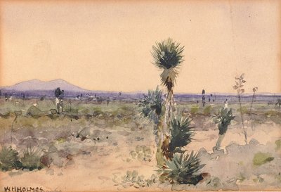 Yuccaland--Chihuahua, Mexiko, n.d. von William Henry Holmes