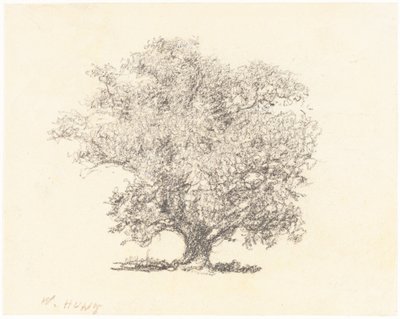 Ein Baum in voller Blüte von William Henry Hunt