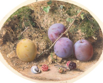 Pflaumen und Maulbeeren von William Henry Hunt