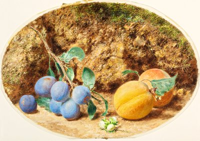 Lila Pflaumen, Aprikosen und Holznuß, ca. 1860 von William Henry Hunt