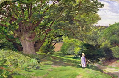 Hayes Common, 1852-53 von William Henry Millais