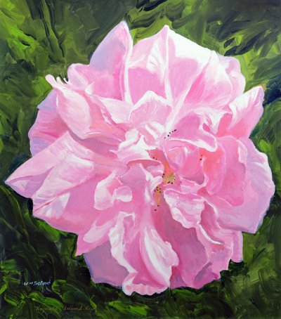 Viktorianische Rose von William Ireland