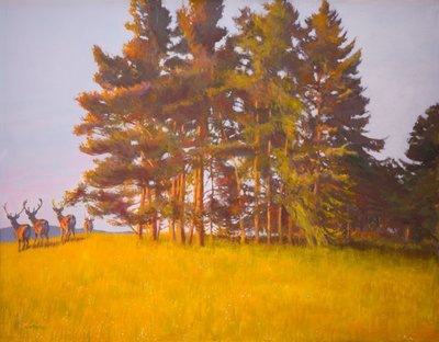 Blick aus der Kabine von William Ireland