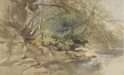 Ansicht in Stapleton Wood, bei Bristol von William James Muller