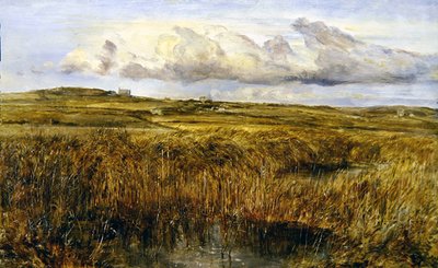 Rhoscolyn, Anglesey von William Joseph J.C. Bond