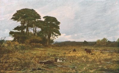 Winterlicher Marsch, 1885 von William Lamb Picknell