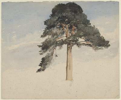 Schottische Kiefer von William Leighton Leitch