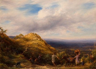 Ein bewaldetes Tal und Hügel, 1865 von William Linnell