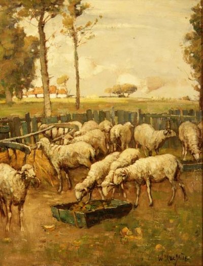 Der Schafstall von William McBride