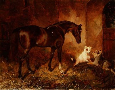 Im Stall von William Osborne