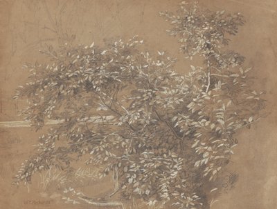 Laub von William Trost Richards