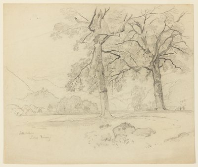 Landschaft, Brienzersee, Interlaken, Schweiz von William Trost Richards