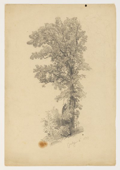 Studie von Laub von William Trost Richards