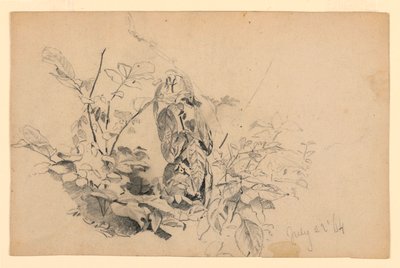Studie von Laub von William Trost Richards
