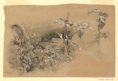 Studie von Laub von William Trost Richards