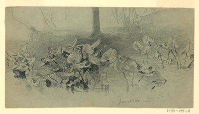 Studie des Laubs von William Trost Richards