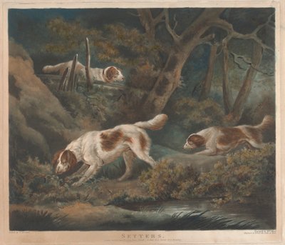 [Schießen]: Setter von William Ward