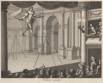 Die zwei Affen von Wilson
