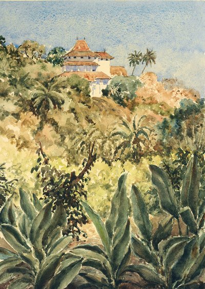 723 Lankatilaka aus dem Pfeffergarten von Wilson Clive
